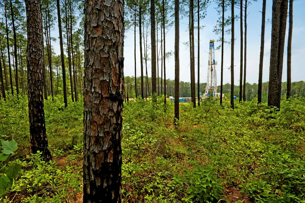 'Green shoots': a rig in the Haynesville shale in the US