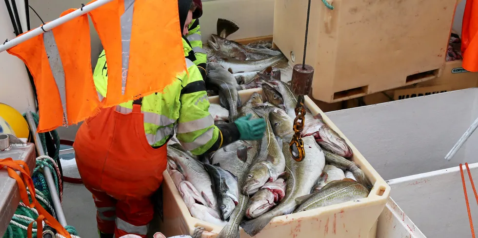 Fiskerne mener å ha god kontroll på hvor mye fisk som er i kar og containere, men opplever at mange fiskebruk avkorter vekta betydelig når de veier fisken alene inne på fiskebruket.