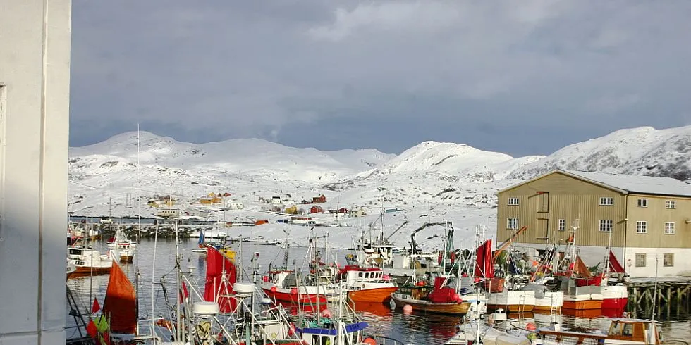 Brivikvbotn i Hasvik kan glede seg for å ha fiskebåten «Sandviknes» i sin mitte. Eieren, Jens Erling Jenssen, satt igjen etter fjoråret med en netto innntekt på vel 1,4 millioner kroner og topper dermed lønnsstatistikken blant eierne i gruppen 11 - 15 meter. Foto: Gunnar Grytås.