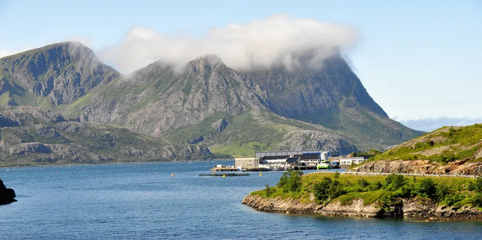 Eksempel på lokalt eierskap: Laksebedriften Egil Kristoffersen & Sønner ligger i fiskeværet Jennskaret i Bø i Vesterålen.