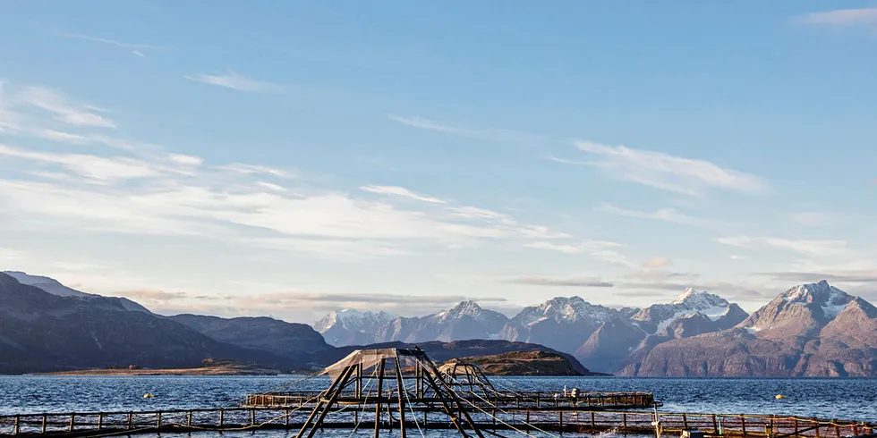 NY SKATT?: I helgen holder Høyre sitt landsmøte på Gardermoen. Her vil lakseskatt bli et tema. Fra før har landsmøtet i regjeringspartiet Venstre sagt nei til en statlig ekstraskatt på lakseoppdrett.