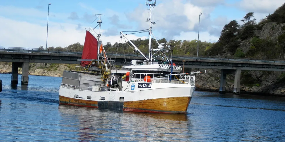 . «Skogsøyjenta» av Mandal satset på seien i vinter og de beste turene på Møre ga 5-6 tonn med et bruk på 200 garn.