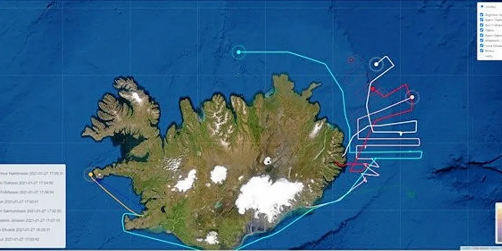 TOKT: Ni islandske trålere på loddetokt ved Island sammen med islandske havforskere. Målet er å finne mere lodde og få økt kvoten for uttak.