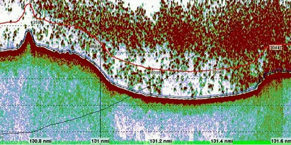 Forskerne om bord på «Johan Hjort» har aldri sett maken til ansamlinger av skrei. Torsken vises som røde prikker på ekkoloddplottet.