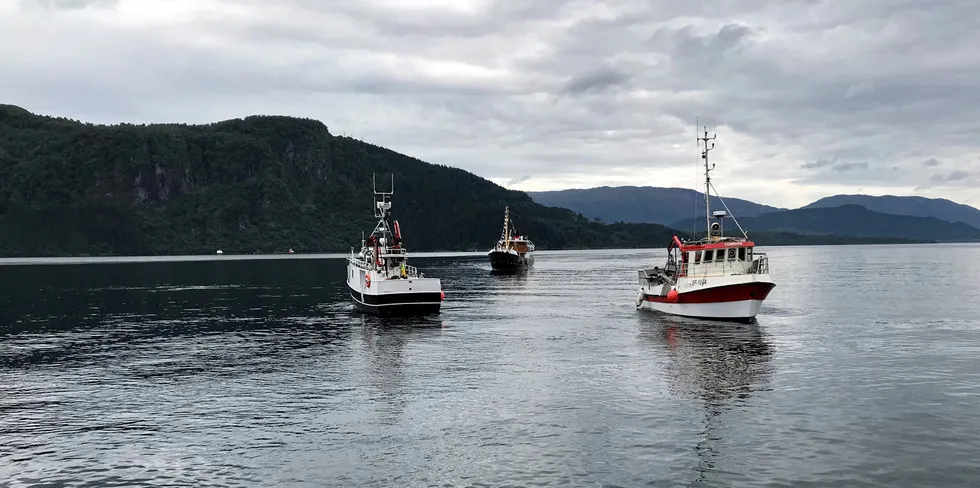 Den norske stat støtter gruveselskapene i dumping av gruveavfall i norske fjorder, Bildet er fra Førdefjorden hvor regjeringen har tillatt sjødeponi.