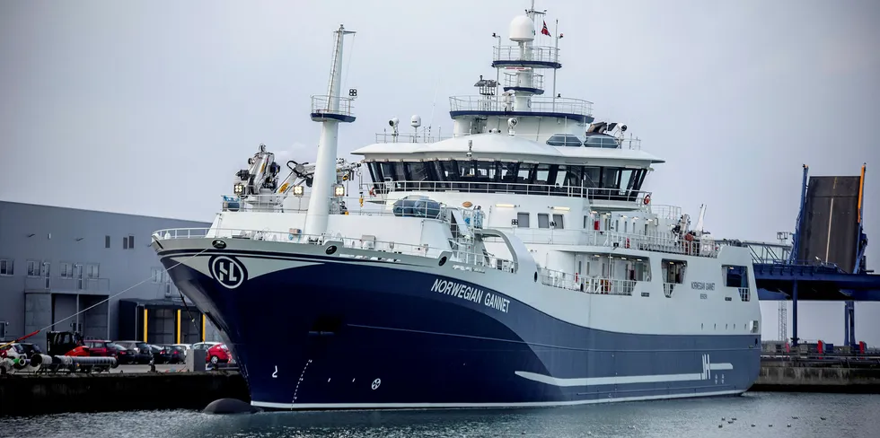 Slakteskipet for laks «Norwegian Gannet» har ført til vekst for havnen i Hirtshals.