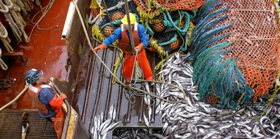 The price of pollock remains up in the air, according to several US Alaska pollock executives. Pictured above: Glacier Fish Company harvesting Alaska pollock in 2021.