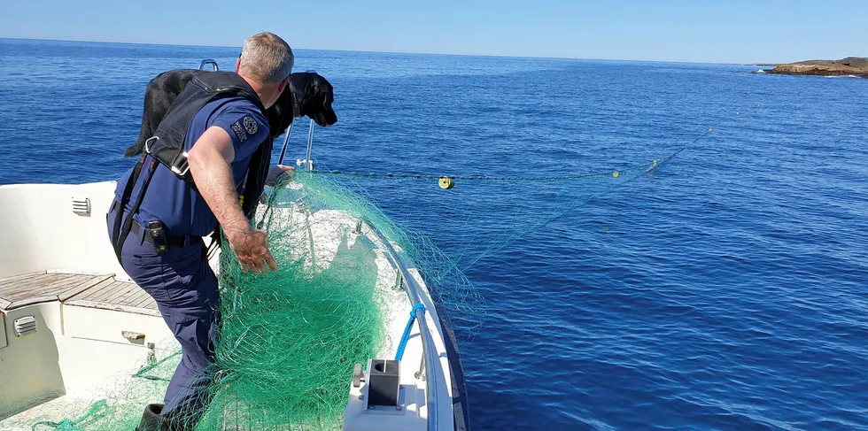 Statens naturoppsyn samarbeider med Kystvakta, Fiskeridirektoratet og politiet for å få bukt med ulovlig laksefiske.