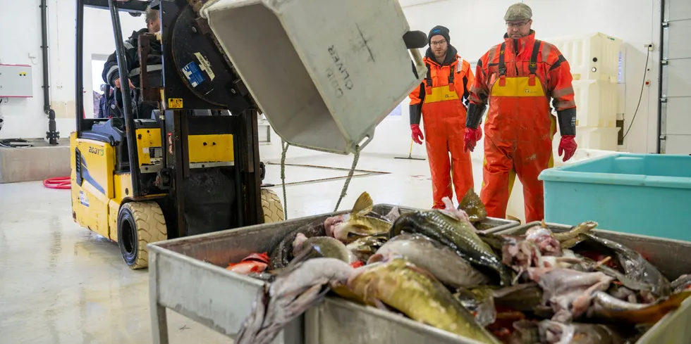 Ramstadlandet Fiskemottak i Vikna åpnet i august i fjor etter å ha stått ubrukt siden våren 2018. Her leverer Tore Myhre fangsten sin når han fisker på heimhavet.