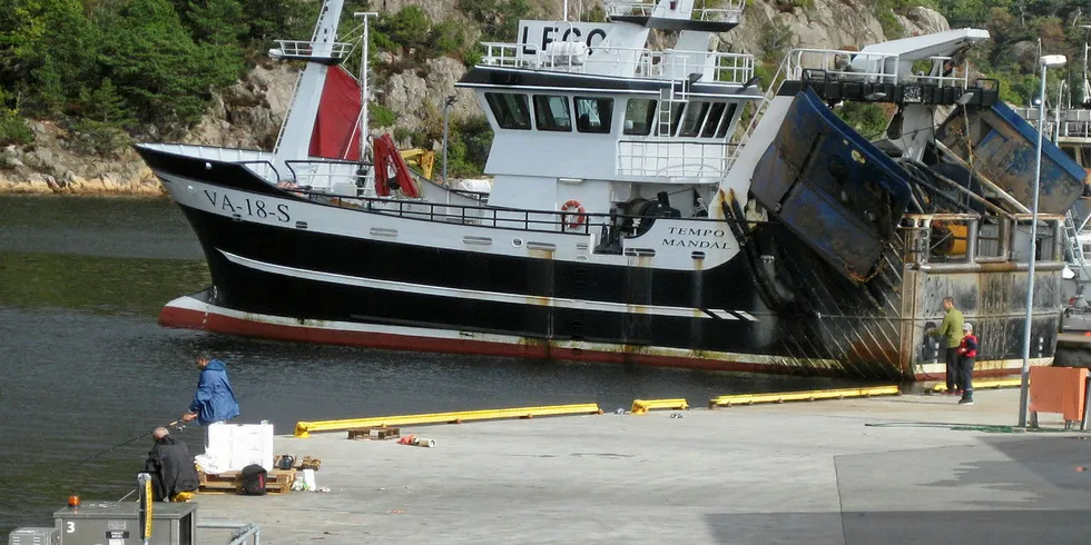 LITEN REKEKVOTE: Rekebåtene i sør, her representert med «Tempo» av Søgne, kan ikke fiske mer enn 1143 tonn reker i perioden 1. september til 31. desember. Dette er et par hundre tonn under det som ble fisket i samme periode i fjor.