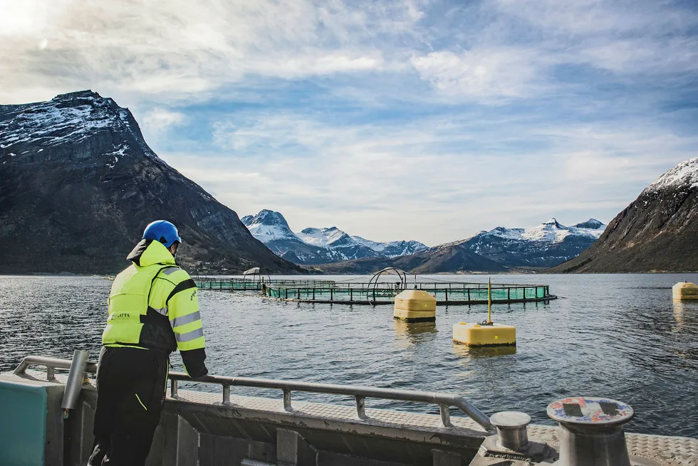 . With a protected coastline and deep fjords with currents of pristine water Kwarøy Island on the Arctic Circle is an ideal place for raising salmon.