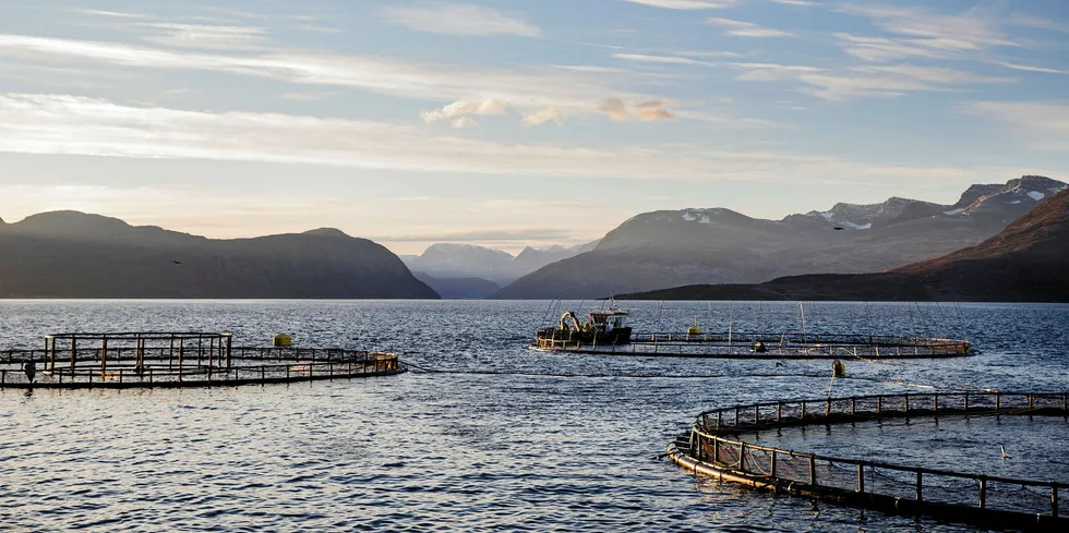 Fylkesråden for næring og miljø i Troms og Finnmark frykter at havbrukskommunene skal sitte igjen med for liten gevinst av å huse oppdrettsvirksomhet.