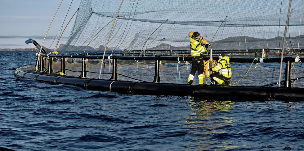 Mowi og Akva Group inngår rammeavtale. Illustrasjonsfoto av merd.