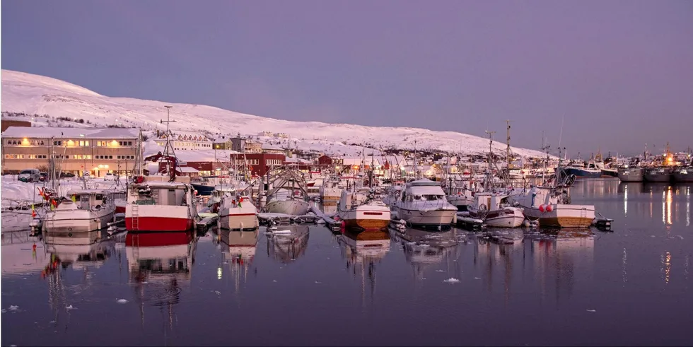 KURSENDRING: I Båtsfjord mener vi at det er plass til adskillig flere Fiskerihovedstader langs kysten, men da må den politiske kursen endres. Bildet viser småbåthavna Båtsfjord.