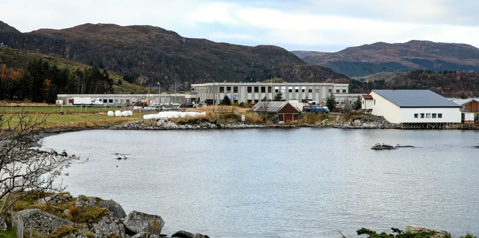 Både Fiskevegn og Best Fishing Gear har hovudkontor og fabrikk på Flatraket i Stad Kommune.