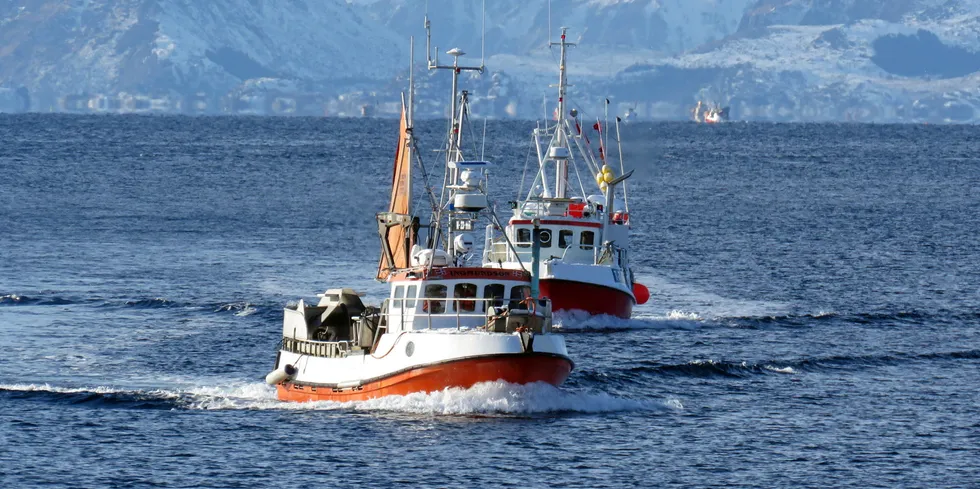 Gruppe 2 er det AP og SV skal styrke med mere kvoter på bekostning av blant annet kystflåte, skriver Rolf Bjørnar Tøllefsen. Fiskebåtreder og kommunepolitiker for Senja Høyre.