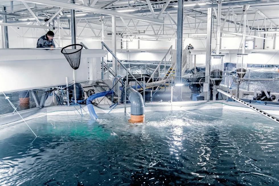 Akva Group leverer blant annet utstyr til settefiskproduksjon. Her fra Tytlandsvik Aqua i Ryfylke.