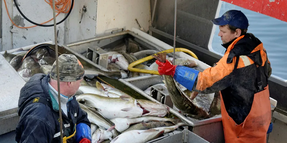 Torskefisket for kystfiskeflåten bør holdes i gang så lenge som mulig utover høsten, mener landsstyret i Norges Fiskarlag.