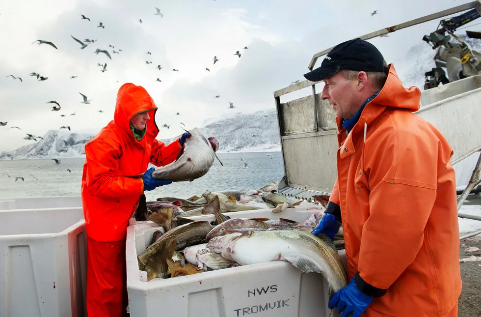 Skipper Lars Kristian Indahl (til høyre) og fisker Devidas Vilimas på fiskebåten «Mjosund» leverer fisk til Norway Seafoods' fiskebruk i Tromvik utenfor Tromsø. Foto: Ingun A. Mæhlum