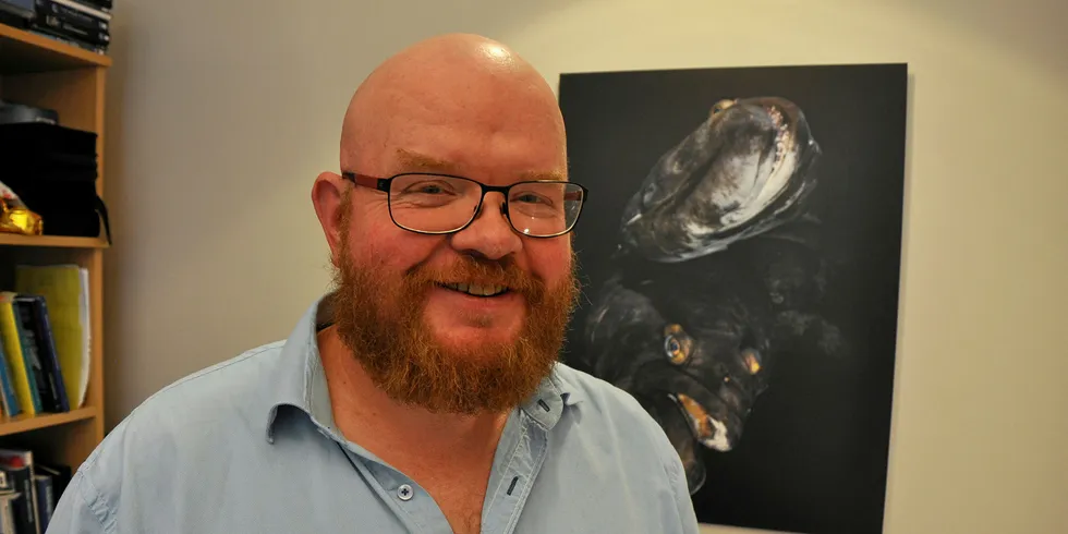 Det er ikkje moderne kunst på kontorveggen bak dekan Ketil Eiane. Det er et fotografi av to stamkveiter i en tank i forskningsparken Mørkvedbukta i Bodø. Bildet er tatt av en kollega, professor i marin økologi, Galic Hoarau.