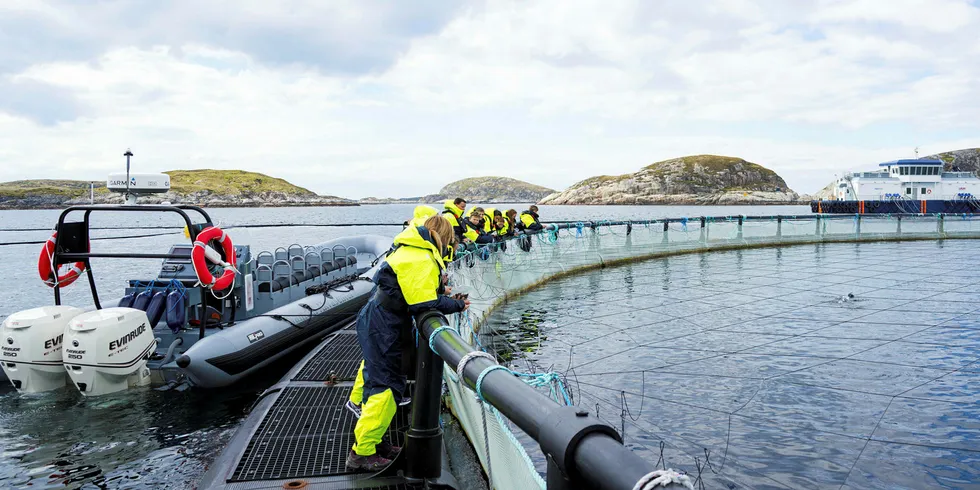 Bjørøya har et visningsanlegg i Flatanger kommune, og var blant anleggene som nylig har hatt besøk av Fiskeridirektoratet.