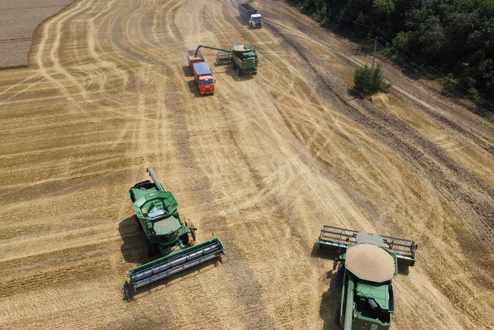 Russland står for rundt 30 prosent av all hveteeksport. En eventuell stans i eksporten vil kunne føre til kraftige prisøkninger – og i verste fall matmangel i det globale sør.
