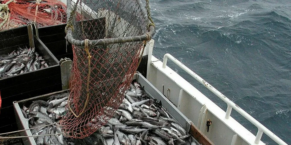 Alaska pollock will be used for USDA programs, according to the contract.