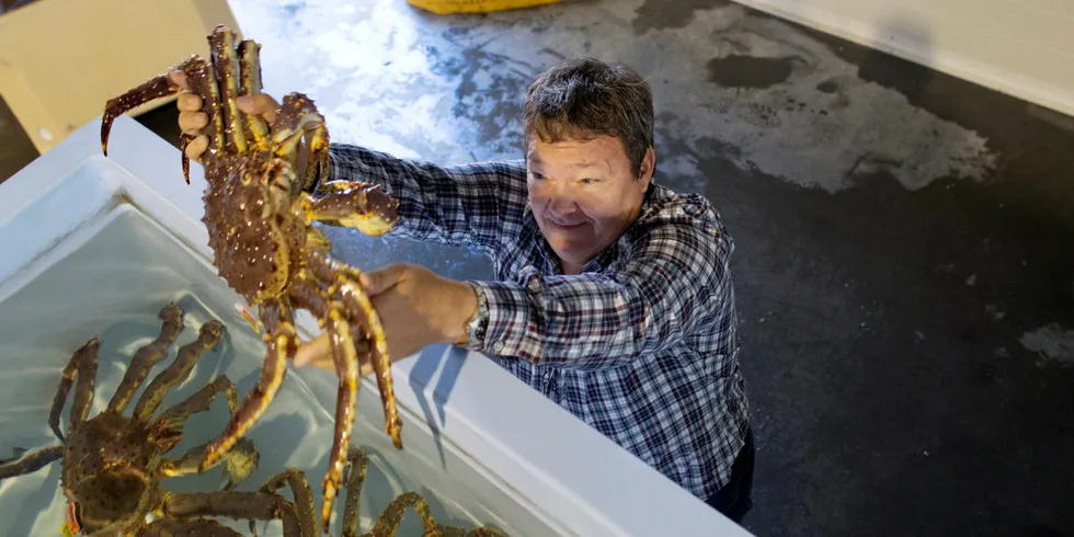 Svein Ruud, konsernsjef Norway King Crab sender 95 prosent av kongekrabbene levende ut i markedet.