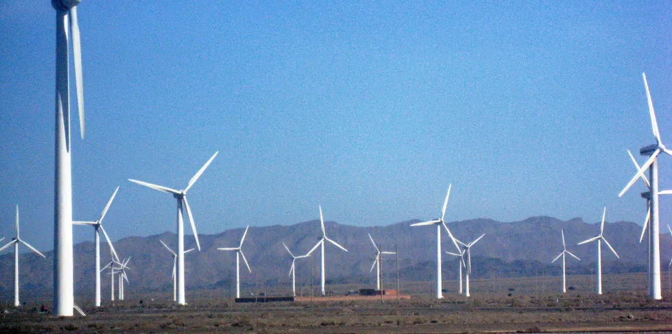 A photo taken in 2008 of a wind farm in China's northern Xinjiang region.