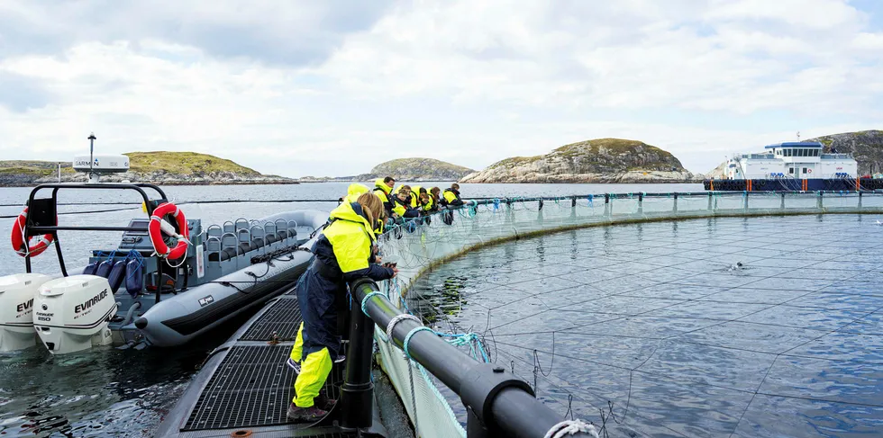 Bjørøya har et visningsanlegg i Flatanger kommune.