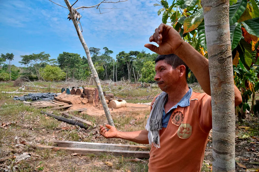 Bonden Uriel Casallas i Colombia fikk ødelagt kokainhøsten av myndighetene. Foto: Guillermo Legaria/AFP Photo/NTB Scanpix