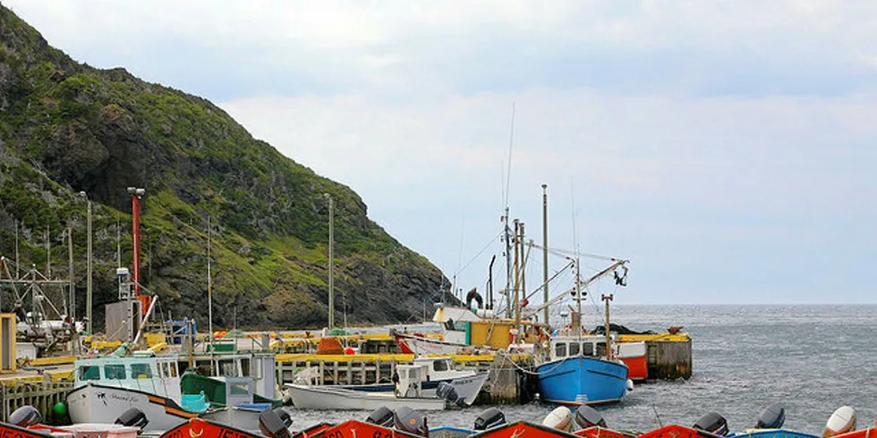 Boats in Newfoundland. Pic: DugsPR