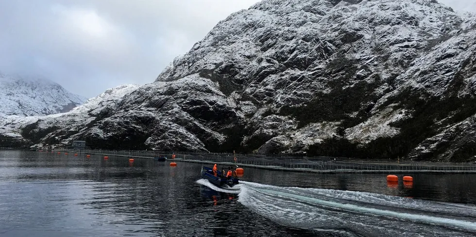 Det er vinter på den sørlige halvkule, i dobbelt forstand.