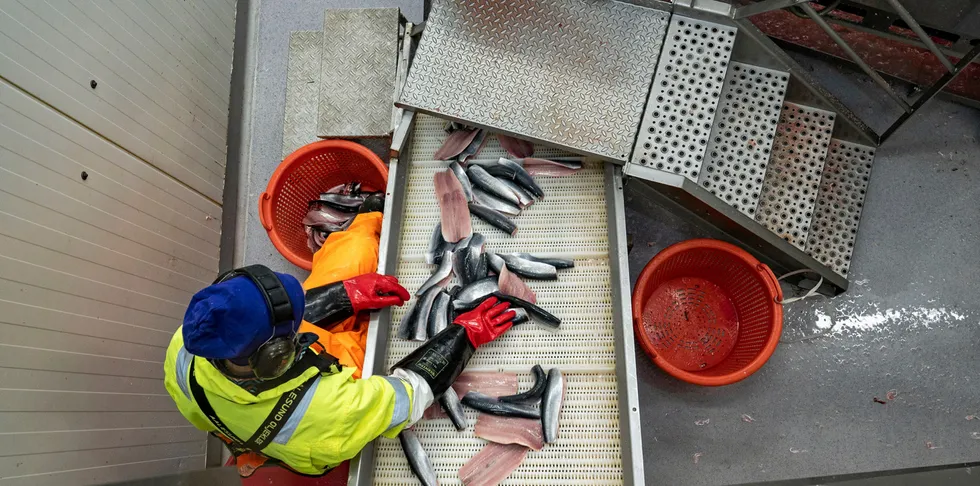 Myndighetene må stadig minnes på at fiske er bærekraftig matproduksjon og at sjømat er blant Norges største eksportnæringer.