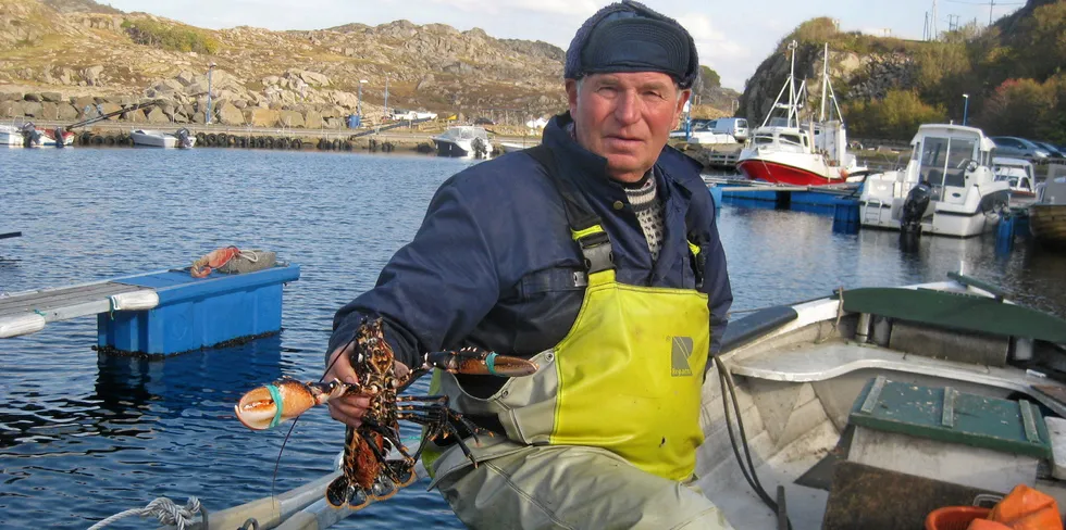 . – Jeg har fått mer hummer enn i fjor, men det har vært flere småhummer på 12–13 cm i teinene denne sesongen og det er uvanlig, Erling Kristensen.