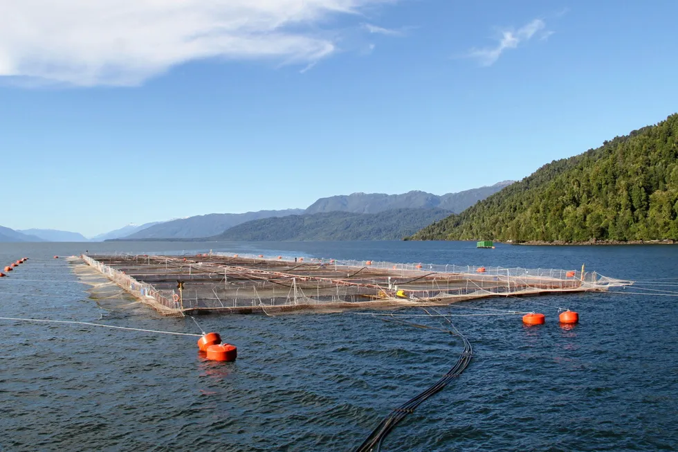 Salmon producers in the Aysen region produced 366,947 metric tons in 2022, according to latest available industry numbers, with the sector supporting nearly 4,600 workers, in addition to thousands of indirect jobs.