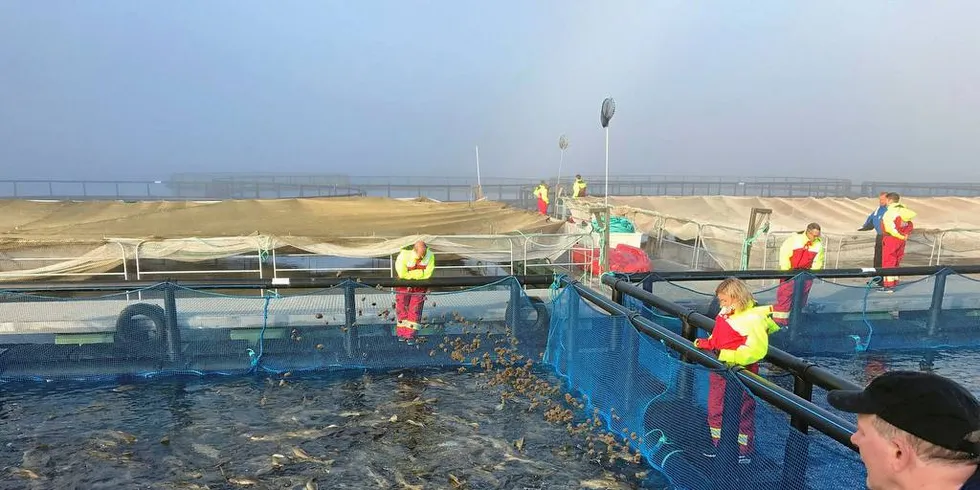 EVALUERING: Når incentivordninger som for eksempel kvotebonusen, skal vurderes og evalueres, er det viktig å få med alle aspekter ved saken.Foto: Fiskeriparken Egga Utvikling