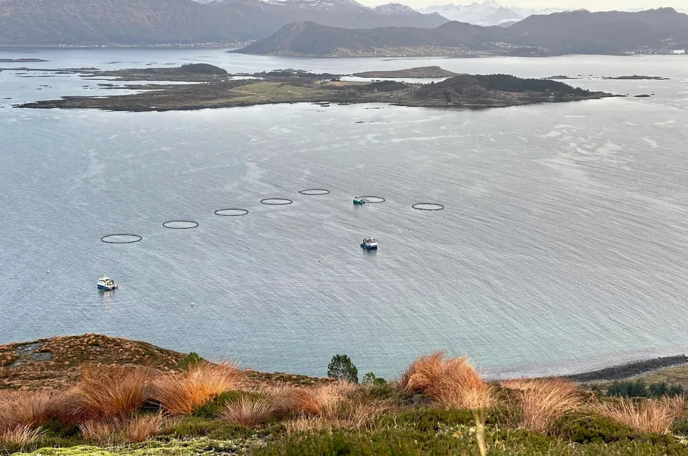 Ode har startet opp anlegget på lokaliteten Dysjaneset, rett utenfor Kvamsøya i Sande kommune i Møre og Romsdal.