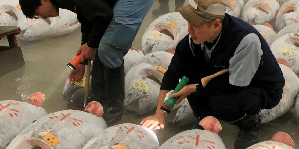 JAPAN: Glimt fra tunfiskauksjonen ved fiskemarkedet Tsukiji i Tokyo. En blåfinnet tunfisk satte verdensrekord på årets første auksjon i Tokyo med 95.000 kroner kiloet.