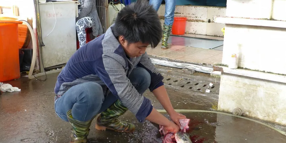 Her sløyer vi rett på bakken. Fiskemarked i Kina. Foto: Ole Erik Klokeide.