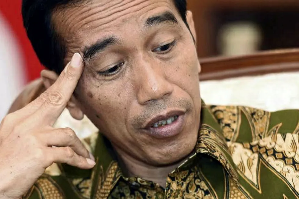 Spanner in the works: Indonesian president Joko Widodo vetoed floating LNG option for Abadi
