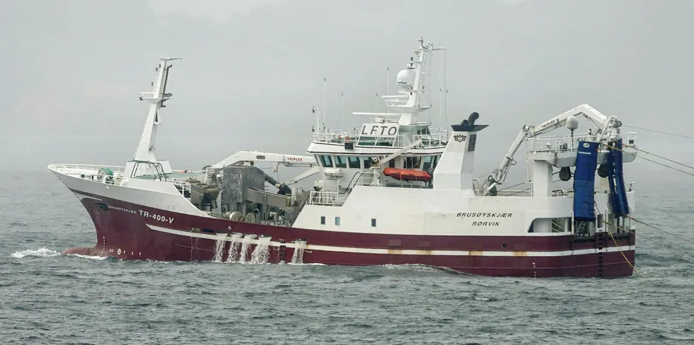 I NORD: Trøndelag-registrerte «Brusøyskjær» fisker nvg-sild med trål på Tromsøflaket.