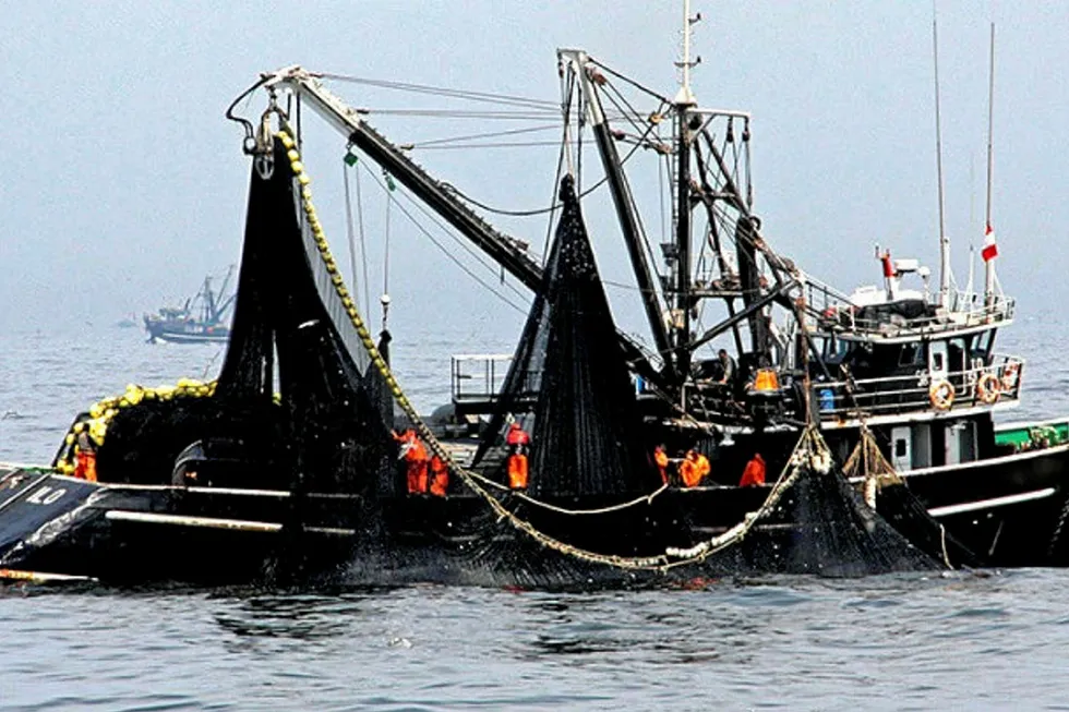 Peruvian anchovy harvester.