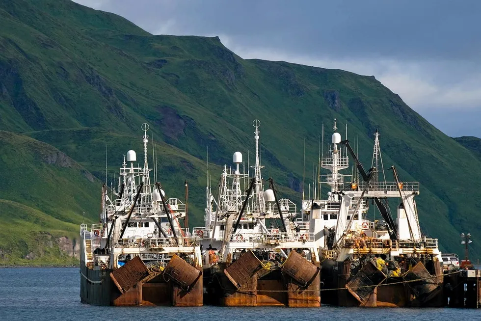 Alaska groundfish association sues NOAA over halibut bycatch rule