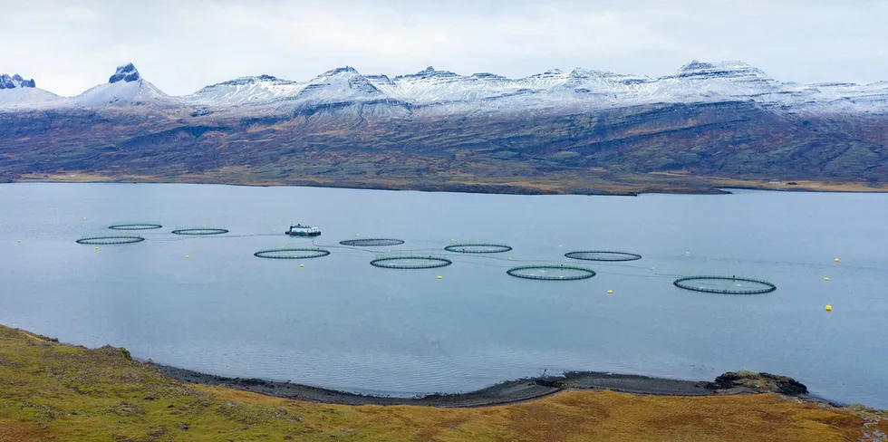 Ice Fish Farm, som holder til på Island.