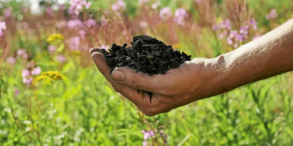 Biochar produced by carbon-removal supplier Carbofex.