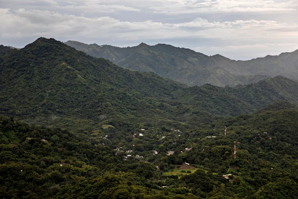 En investorallianse som representerer 8000 milliarder dollar, forplikter seg til å sikre innen 2025 at selskapene vi er medeiere i, ikke bidrar til avskoging, skriver artikkelforfatterne. Illustrasjonsfoto fra Colombia, nær Sierra Nevada-fjellene.