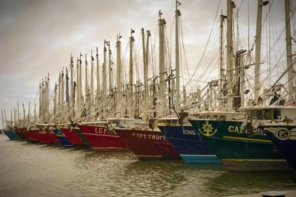 High fuel prices and record low shrimp prices paid to them have left American shrimp harvesters unable to leave the port, causing suffering and hardship to shrimp harvesters and communities that rely on them, the US industry claims.