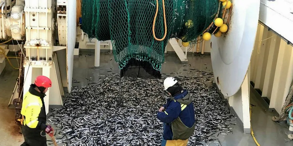 LODDE: Havforskere på loddetokt utenfor Vest-Finnmark.Foto: Jostein Røttingen/Havforskningsinstituttet