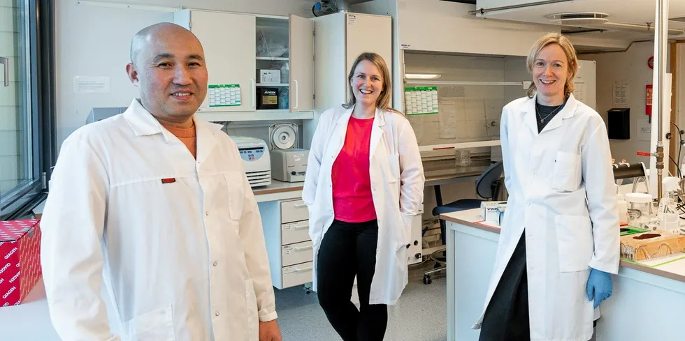 Epigenetikkgjengen på HI: Takaya Saito, Anne-Catrin Adam og Kaja Helvik Skjærven.